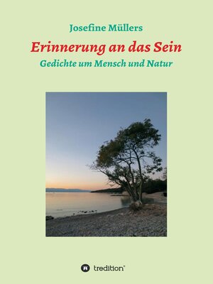 cover image of Erinnerung an das Sein